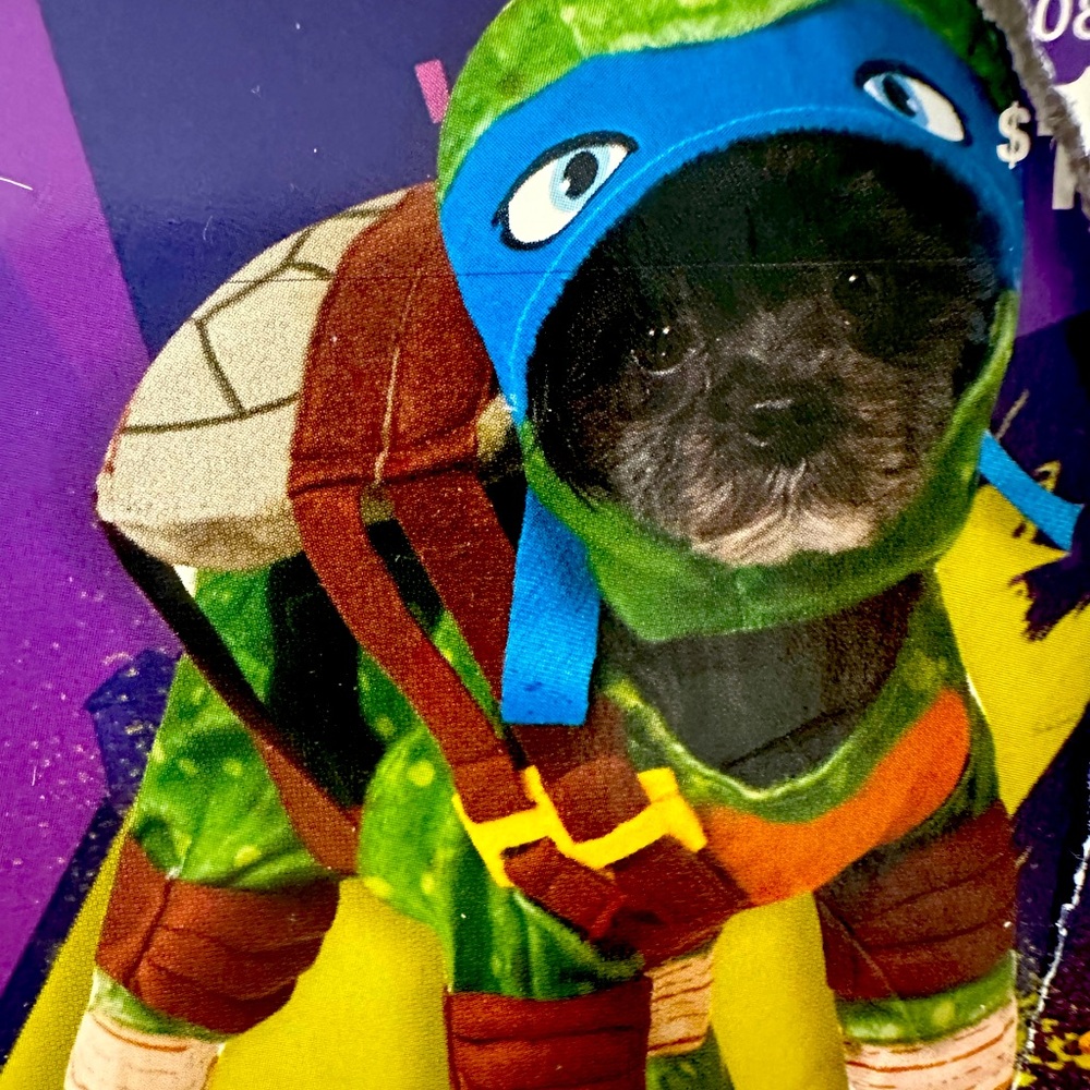 Dog costume